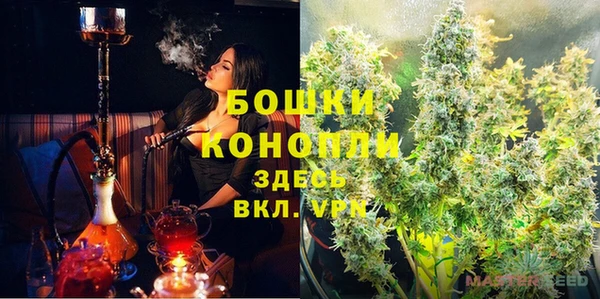 сатива Россошь