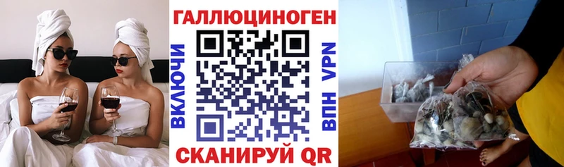 Галлюциногенные грибы мицелий Саянск