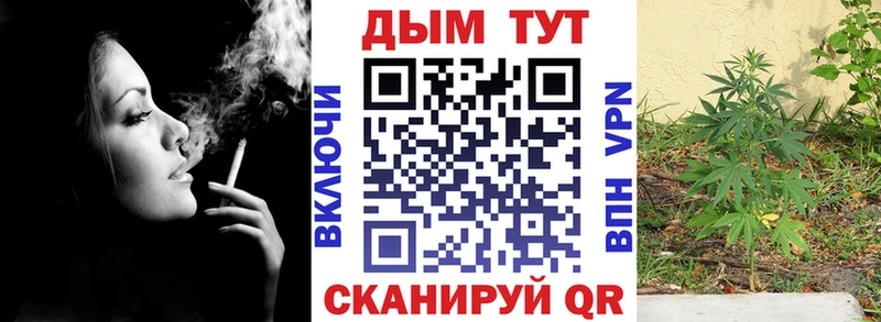 наркотики  blacksprut сайт  Каннабис VHQ  Саянск 